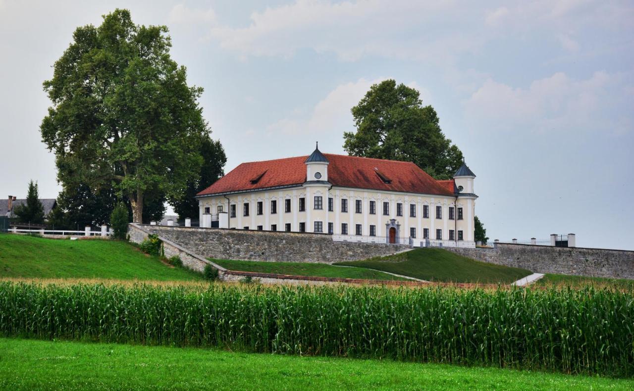 Hotel Baron Смледник Экстерьер фото