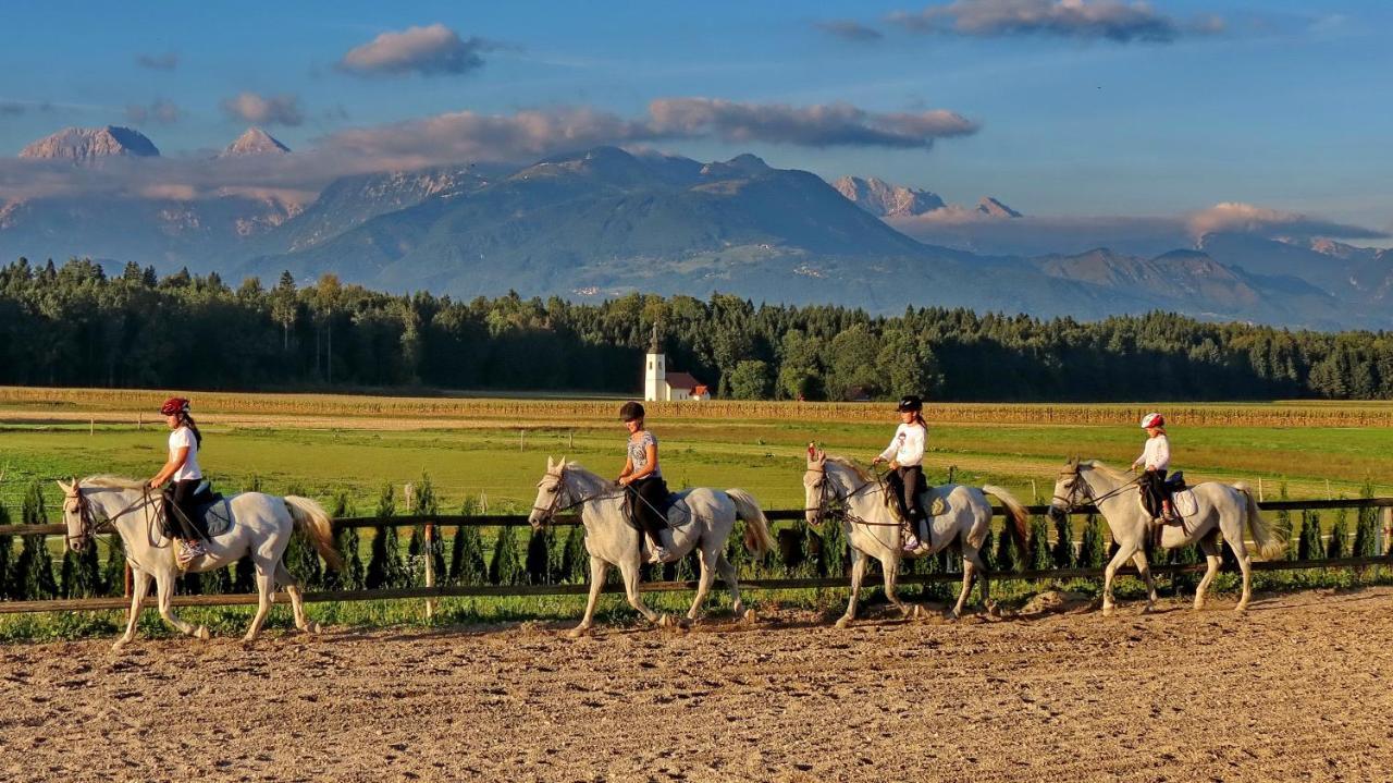 Hotel Baron Смледник Экстерьер фото